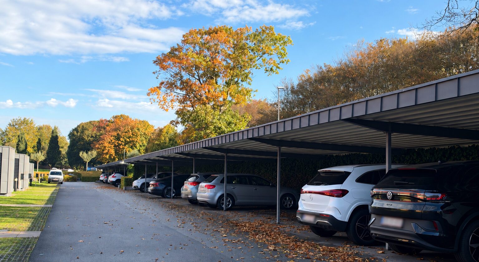 Hasserishave Carport S