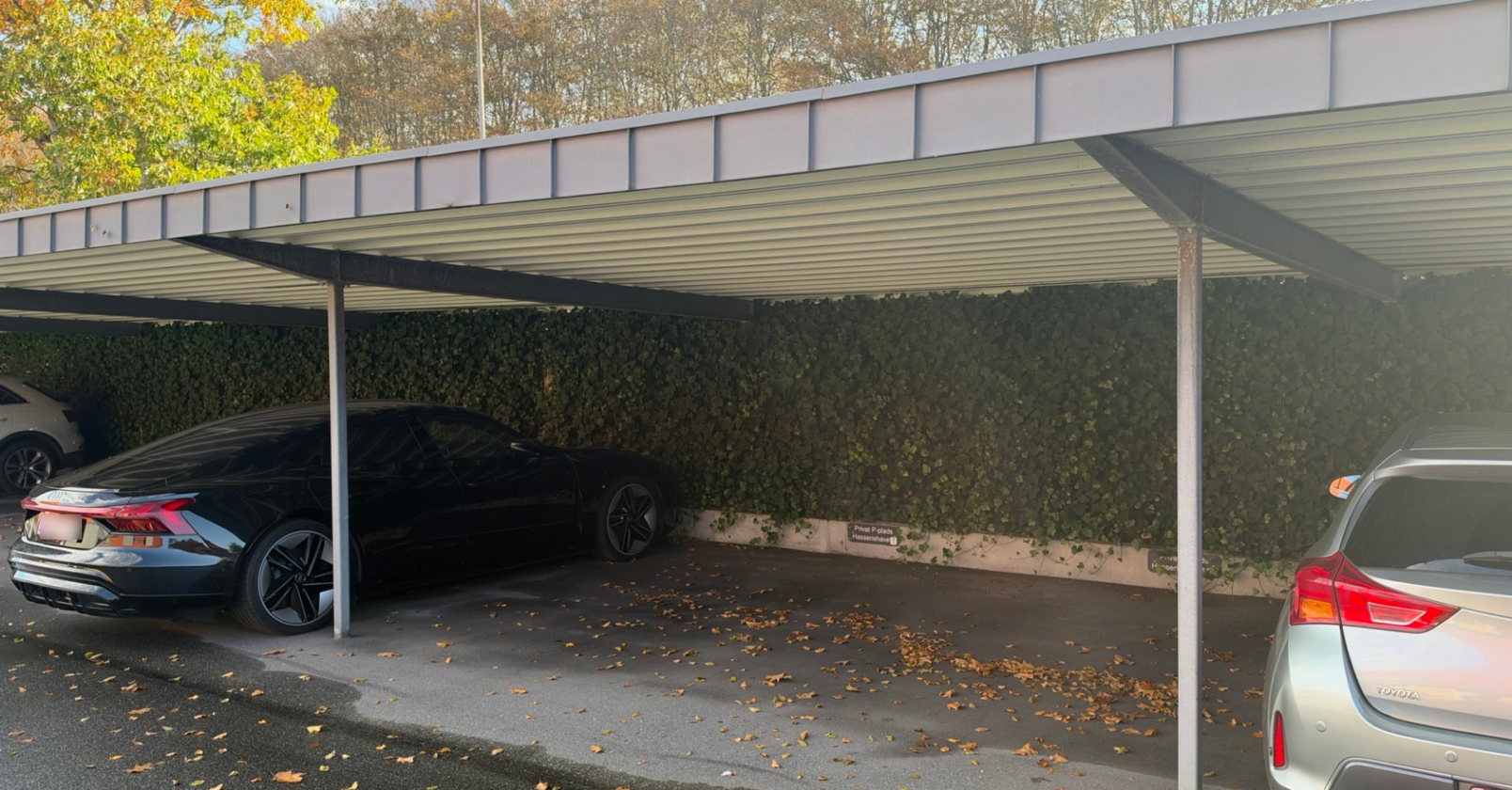 Hasserishave Carport S