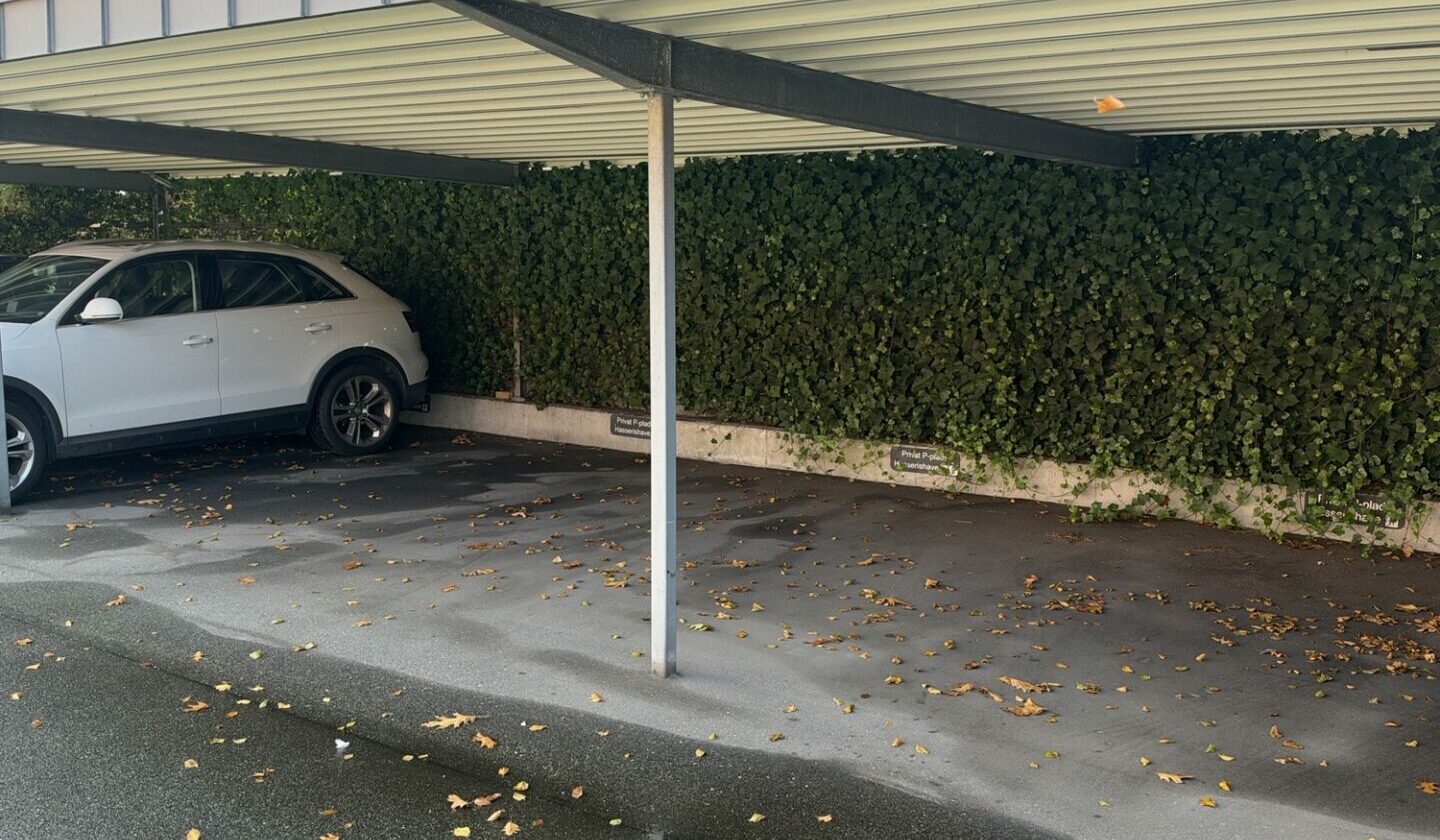 Hasserishave Carport S